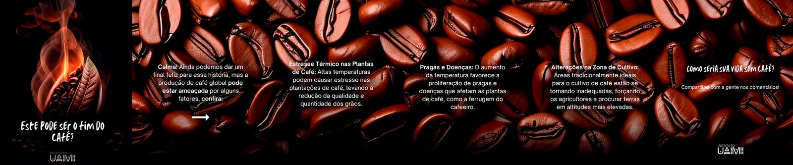 Redes Sociais — Instituto Uaimii — imagem do projeto
