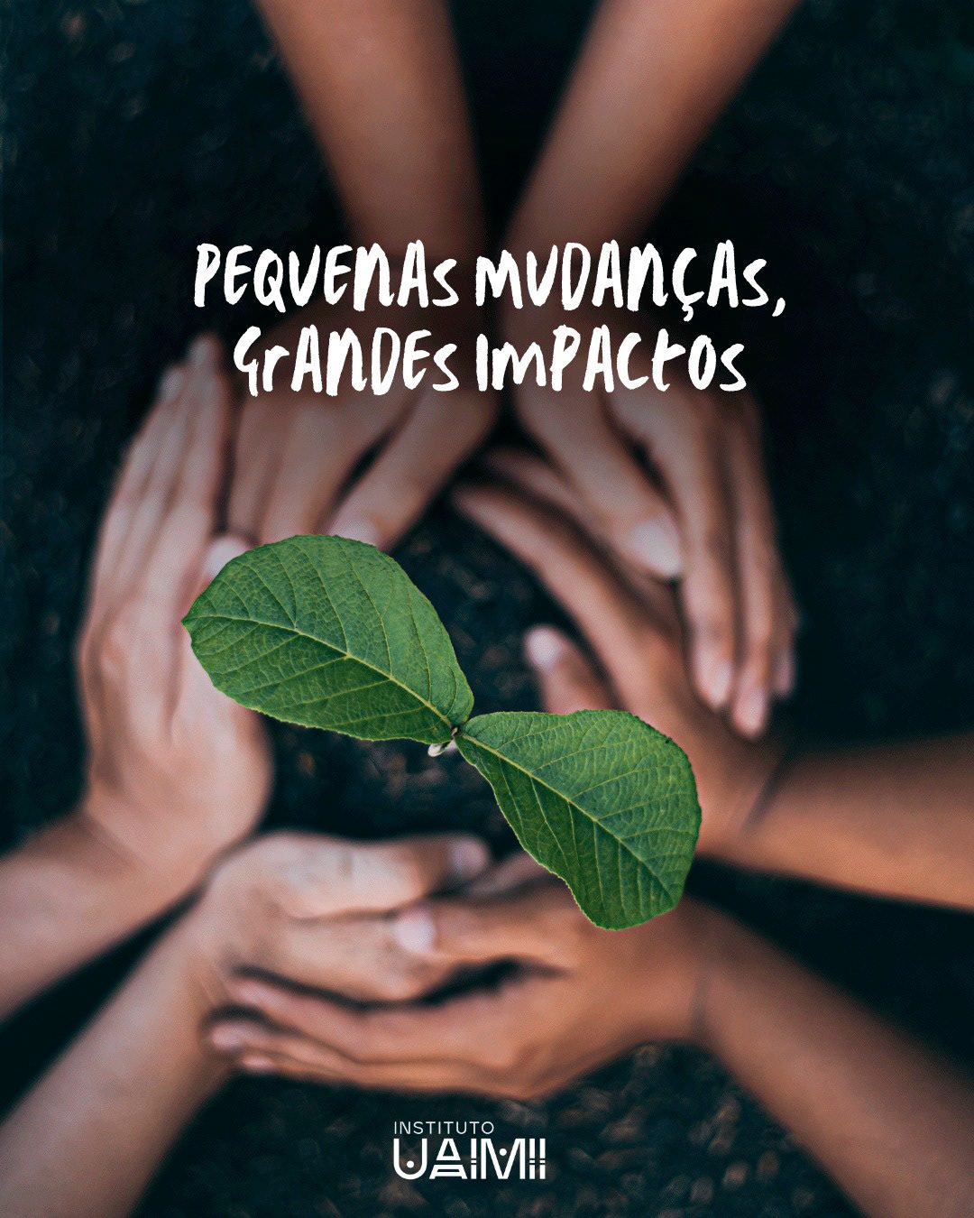 Redes Sociais — Instituto Uaimii — imagem do projeto