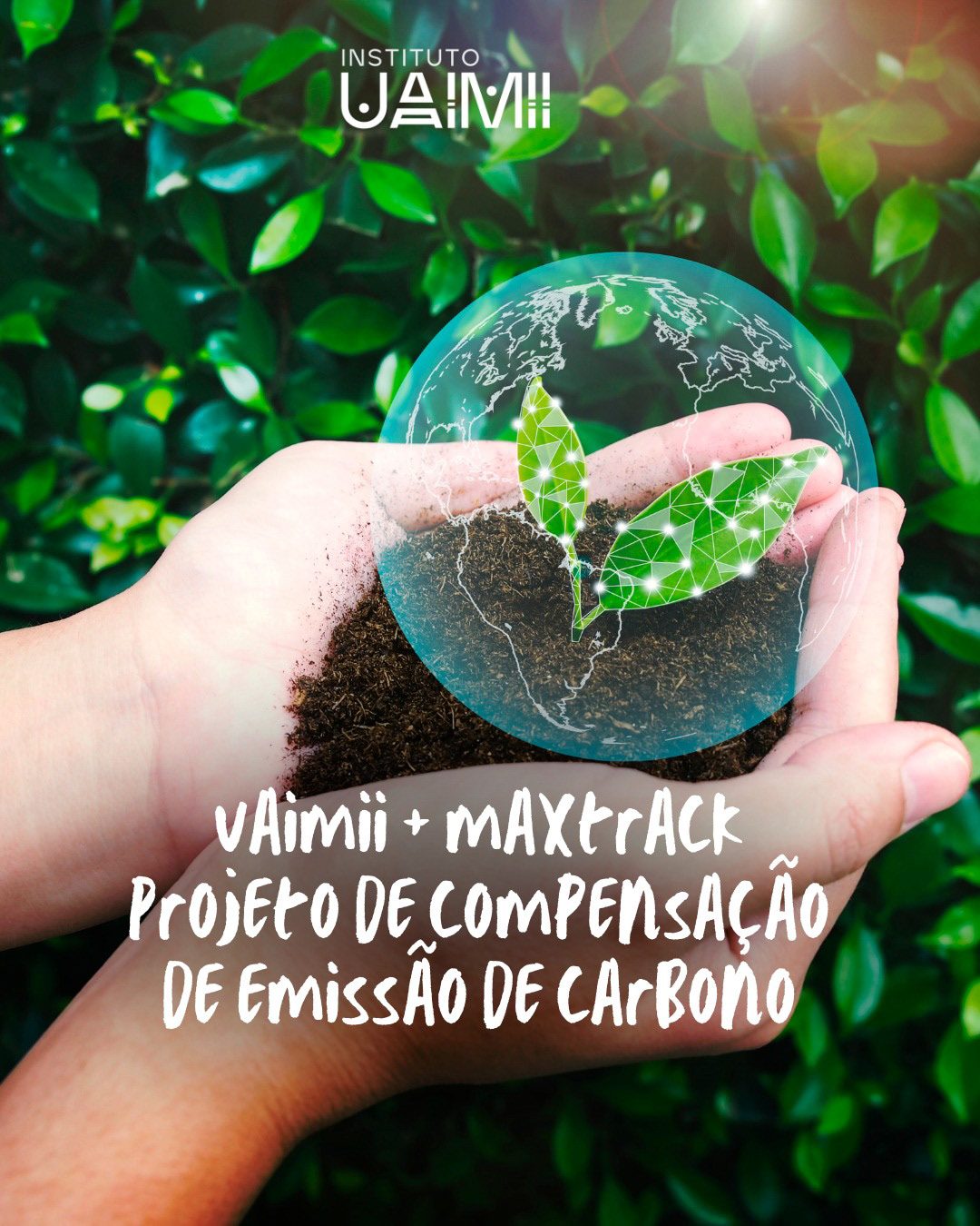 Redes Sociais — Instituto Uaimii — imagem do projeto