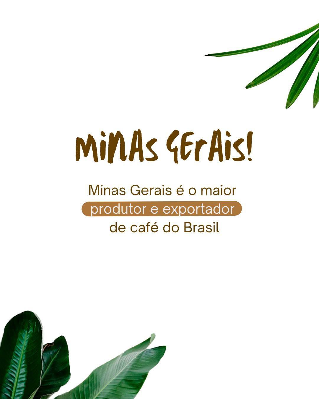 Redes Sociais — Instituto Uaimii — imagem do projeto