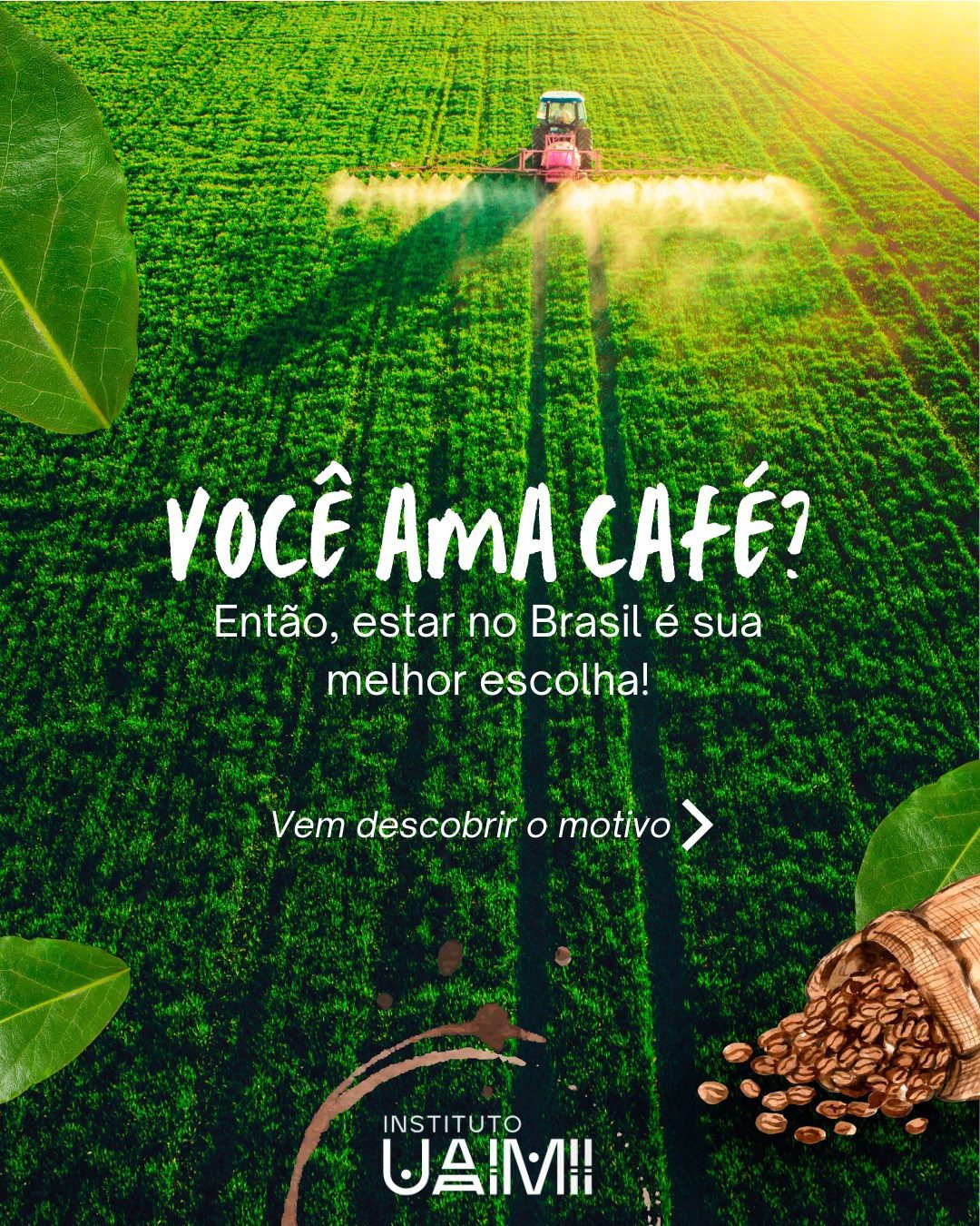 Redes Sociais — Instituto Uaimii — imagem do projeto